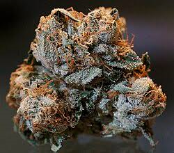 Sum Good Kush